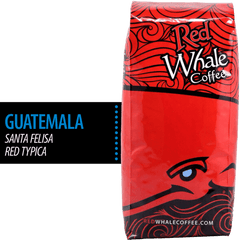 Guatemala: Santa Felisa Red Typica