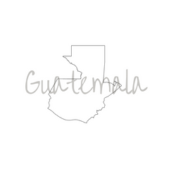 Guatemala: Santa Felisa Red Typica