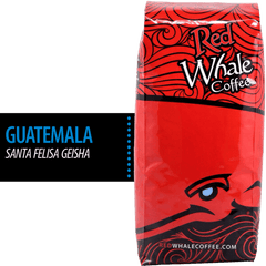 Guatemala: Santa Felisa Geisha